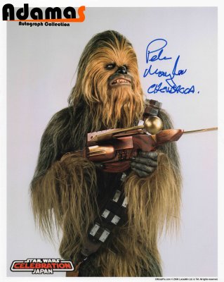 Peter Mayhew_3